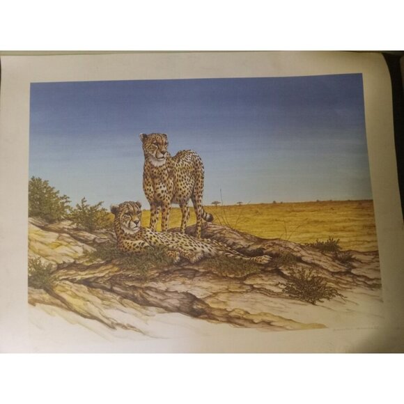 Unframed Limited Edition Cheetah Desert Landscape Print by Artist Marshall - Picture 1 of 4